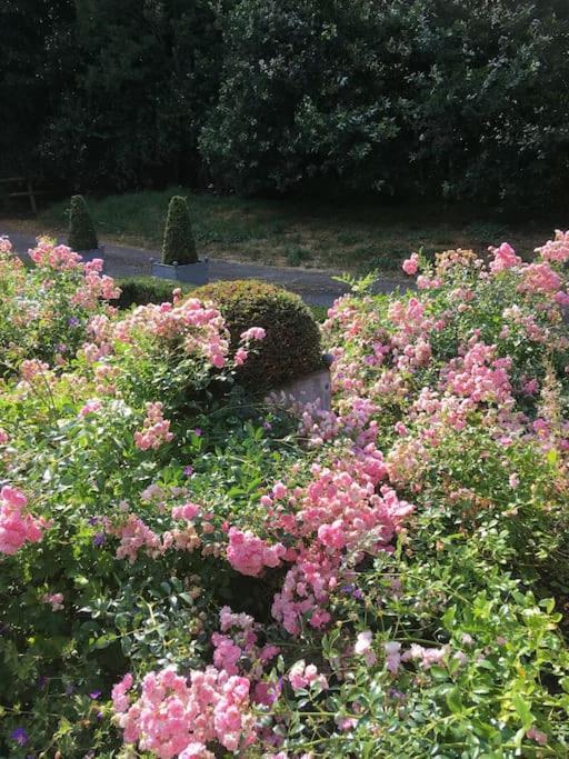 Highfield Lodge Tring Luaran gambar