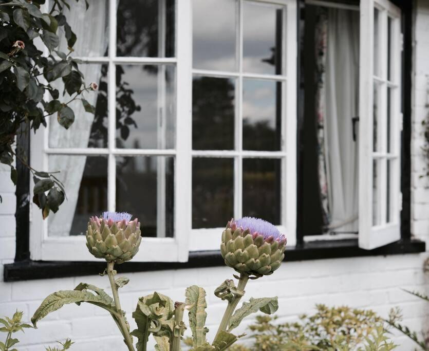Highfield Lodge Tring Luaran gambar